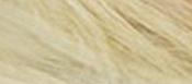 HennaPlus Dlhotrvajúca farba na vlasy 100 ml (Long Lasting Colour) 10.01 Strieborná blond