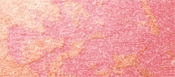 Max Factor Multitónová lícenka Crème Puff Blush 1,5 g 05 Lovely Pink