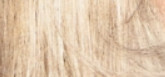 Schwarzkopf Permanentná farba na vlasy Palette Intensive Color Creme 10-1 (C10) Ledový stříbřitě plavý