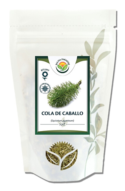 Salvia Paradise Cola de Caballo - Praslička obrie 30 g
