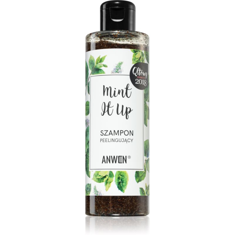 Anwen Mint It Up exfoliačný šampón 200 ml