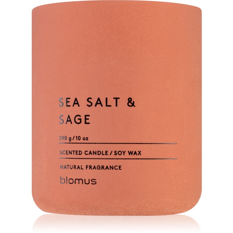 Blomus Fraga Sea Salt  Sag vonná sviečka 290 g