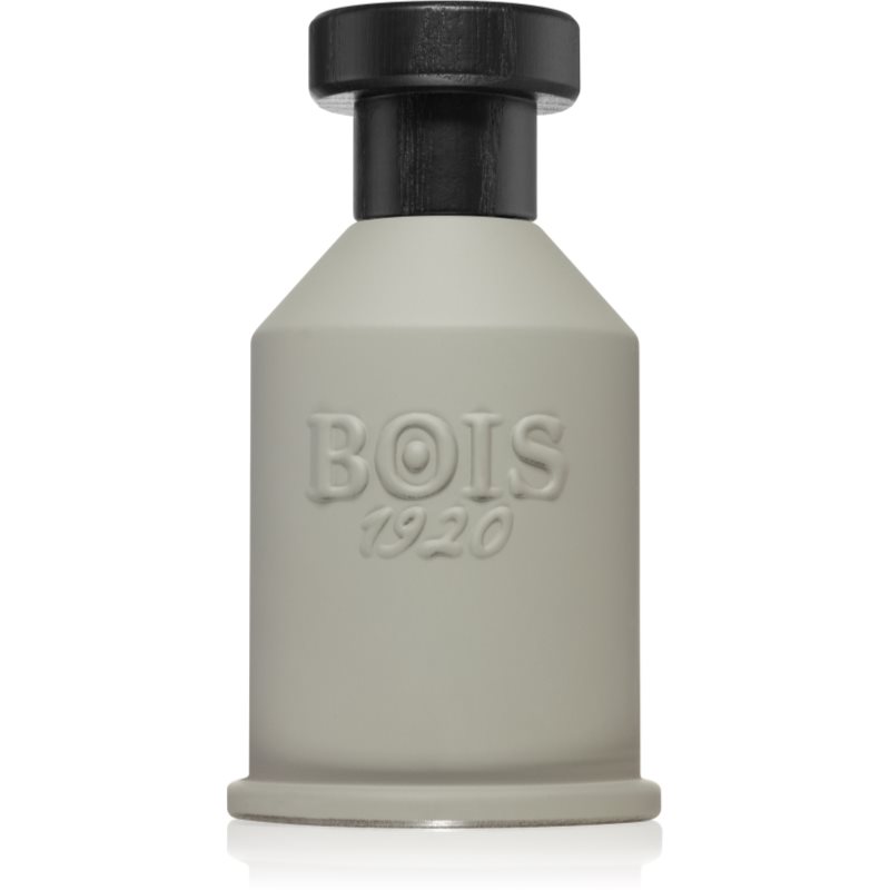 Bois 1920 Itruk parfumovaná voda unisex 100 ml