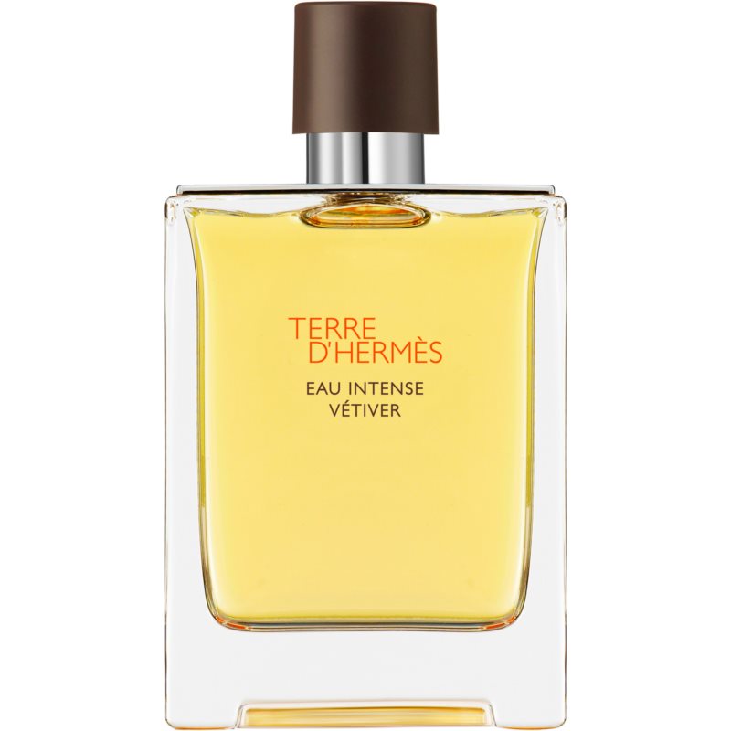 HERMÈS Terre d’Hermès Eau Intense Vétiver parfumovaná voda pre mužov 100 ml