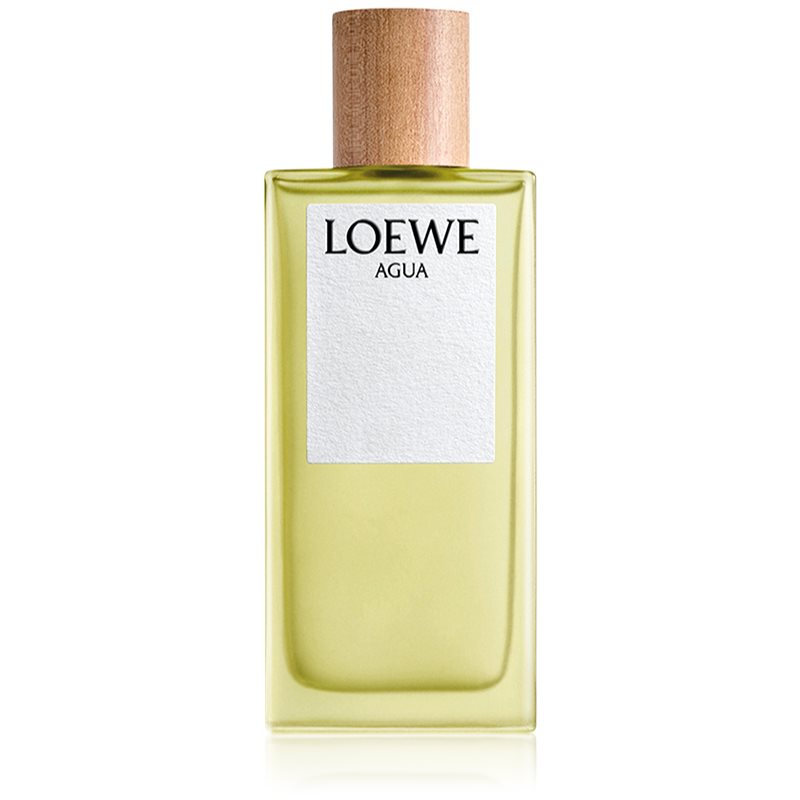 Loewe Agua toaletná voda unisex 100 ml