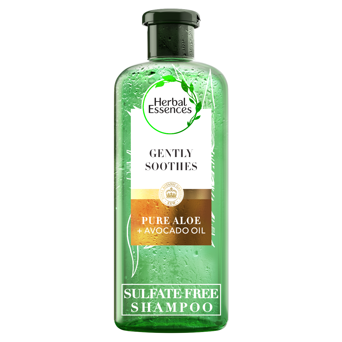 Herbal Essences Bio:renew Šampón bez sulfátov Pure aloeAvocado 380ml