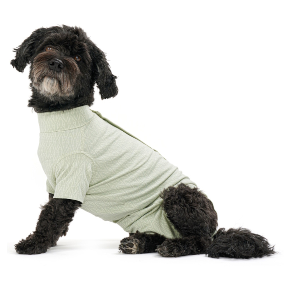 BUSTER Body Suit Stepn Go Dog Oblečok pre psov zelený 1 ks, Veľkosť: XS