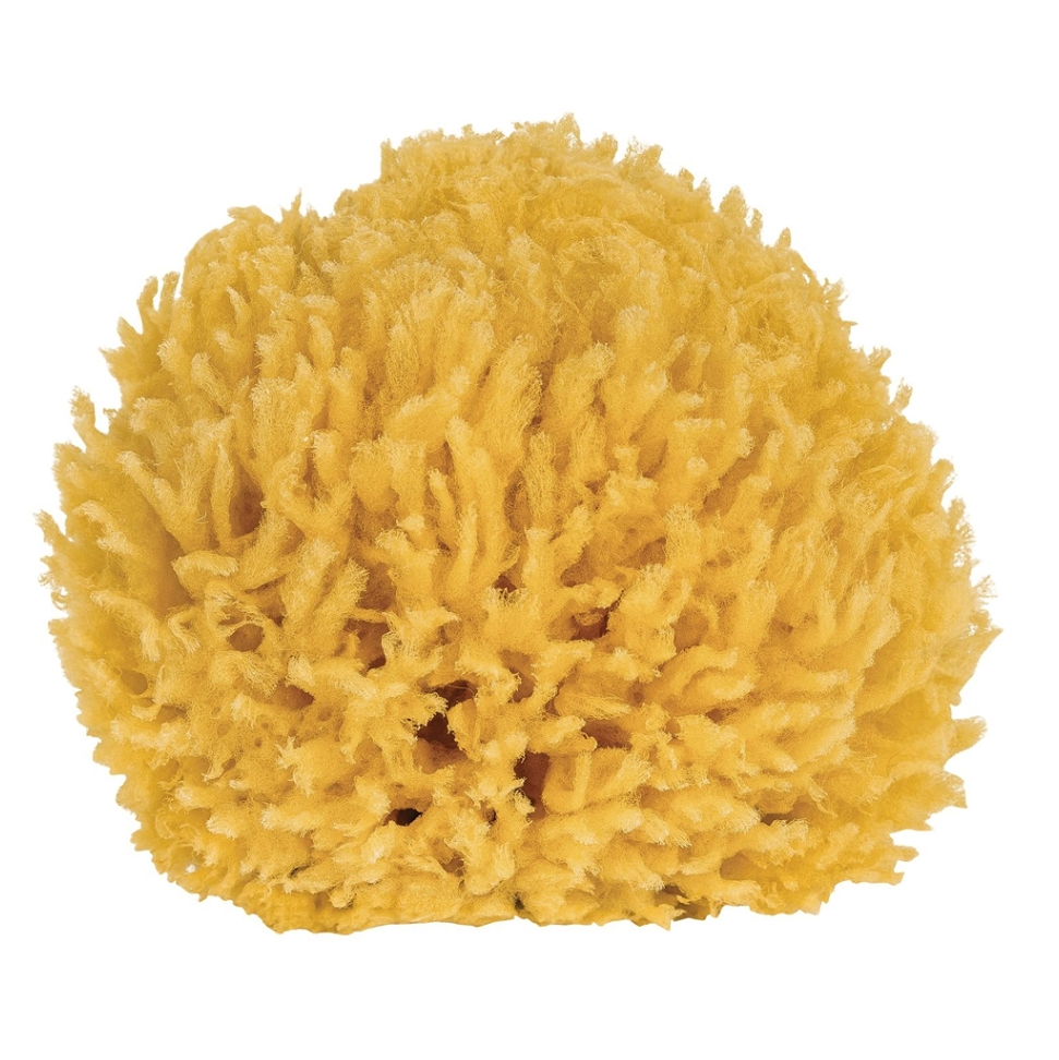 CROLL  DENECKE Prírodná morská špongia 10 cm - 1 kus