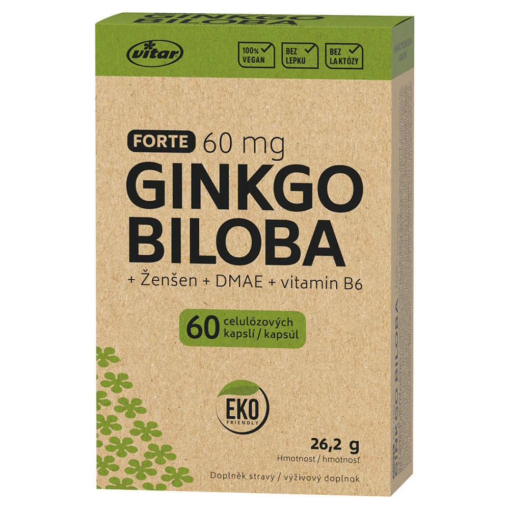 VITAR EKO Ginkgo biloba 60 mg  DMAE  vitamín B6 60 kapsúl